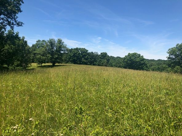 1915 Mount Zion Rd, Frankfort, KY 40601